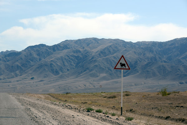 Watch for cattle sign, Kazakhstan