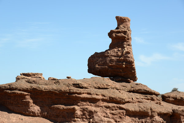 The rock looks a bit like a rabbit I think