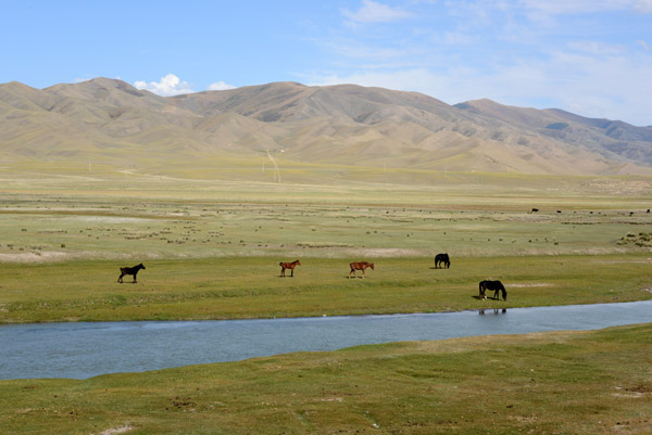 Central Asian landscape with horses grazing on the plains by the river at Kegen