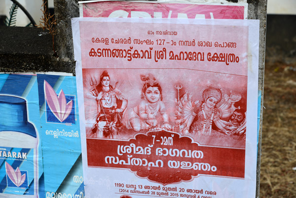 Kerala Dec14 733.jpg