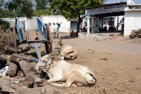 Cows resting by a cart, Aihole