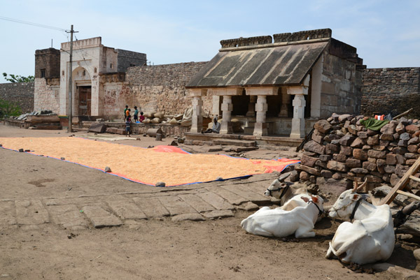 Grain drying in front of a small temple, Aihole