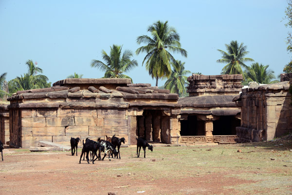 Goats at the Konti Gudi Complex, Aihole