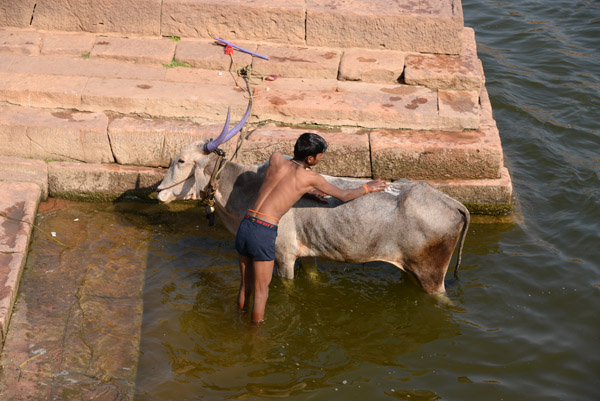 Karnataka Nov14 2701.jpg