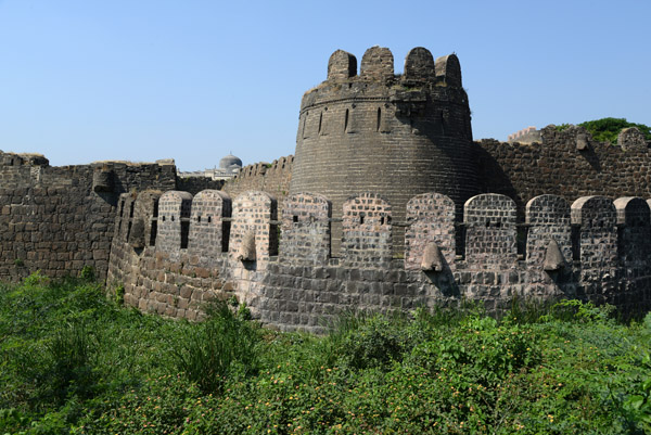 Karnataka Nov14 3235.jpg