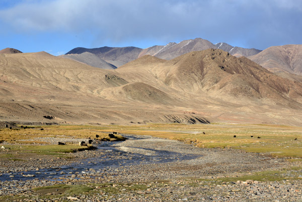 Stream with Yaks and the Chinese border zone fence in the distance