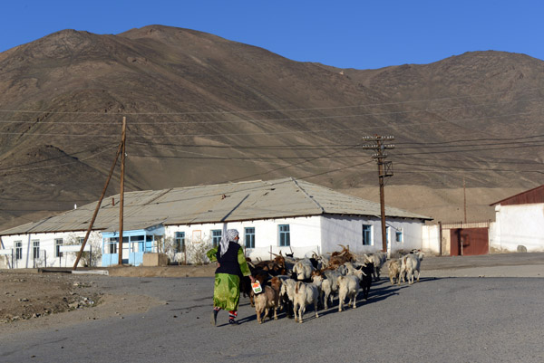 Woman shepherding her flock through town