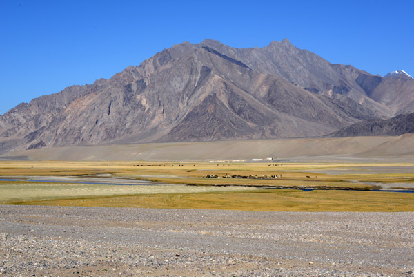 Livestock grazing on the valley floor along the Pamir Highway