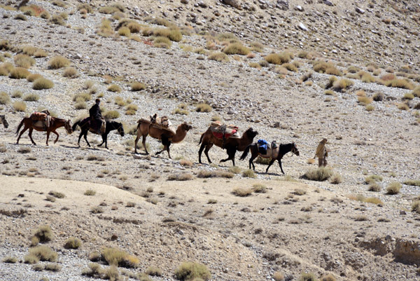 A sight as old, or older, than the Silk Road - a small caravan of camels on the Afghanistan side of the Pamir River