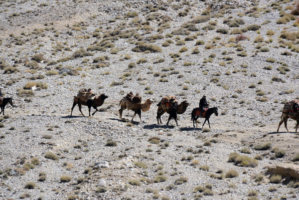 Another man in the caravan leads a string of 3 camels