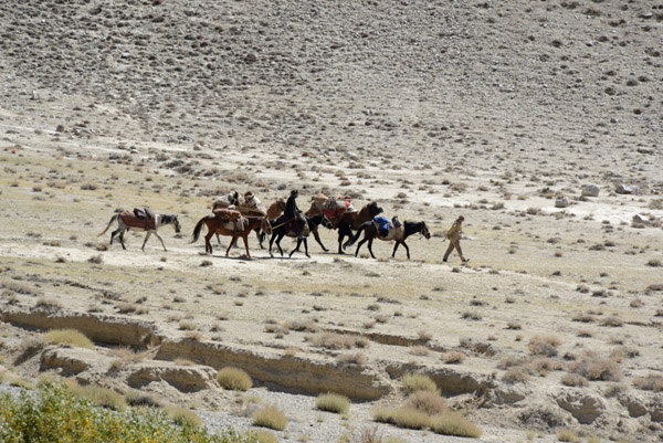 A man walks ahead, leading his horse as the rest follow