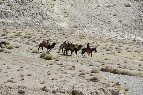 Camel caravan, Pamir Valley, Afghanistan