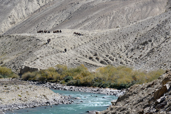 The caravan we passed earlier comes into sight as its makes its way slowly along the Pamir River