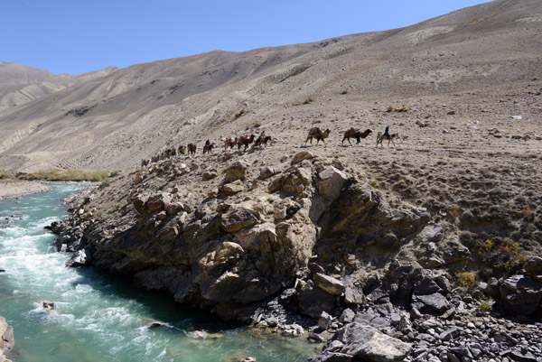 A camel caravan just adds to the stunning landscape 