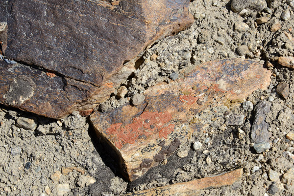 Guessing from previous experience that there is a large iron content in these reddish rocks
