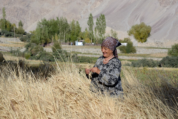 Langar woman in a field of grain, Wakhan Valley, Tajikistan