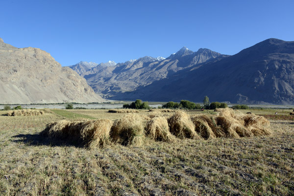 Harvest time in the Wakhan Valley, Langar, Tajikistan