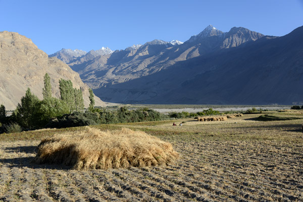 Harvest time in the Wakhan Valley, Langar, Tajikistan