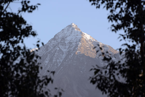 A sharp peak framed with trees, Wakhan Valley