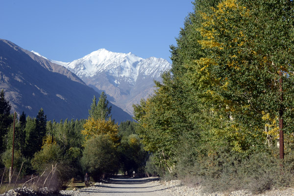 Driving through the trees of Langar headed west down the Wakhan Valley
