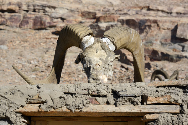 Skull of a Marco Polo sheep on the Pamiri shrine