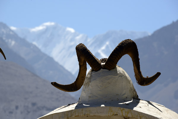 Horns of a March Polo sheep with the Hindu Kush in the background, Mubarak-i Wakhani Museum, Yamg