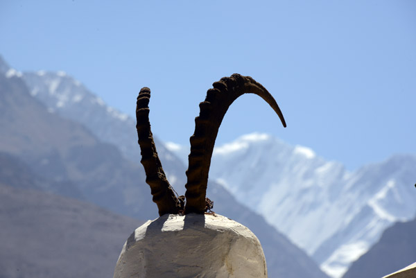 Horns of an Ibex with the Hindu Kush in the background, Mubarak-i Wakhani Museum, Yamg