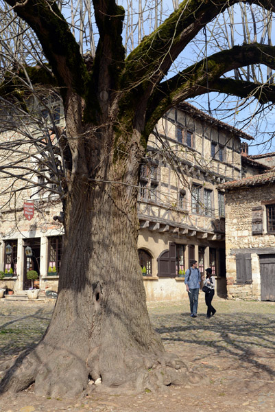 Place du Tilleul - Lime Tree, Pérouges