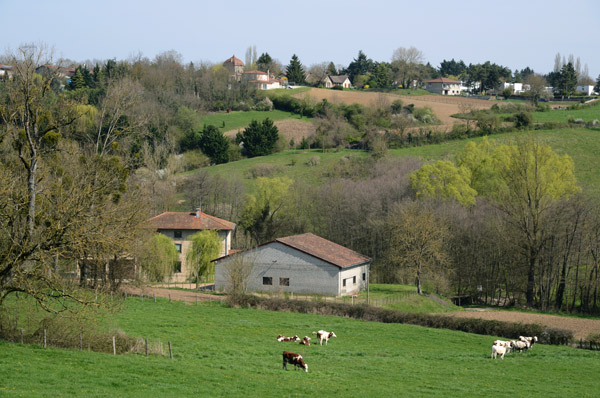 Pastoral countryside around Prouges