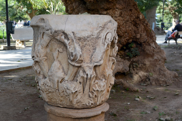 Algeria2015 203.jpg