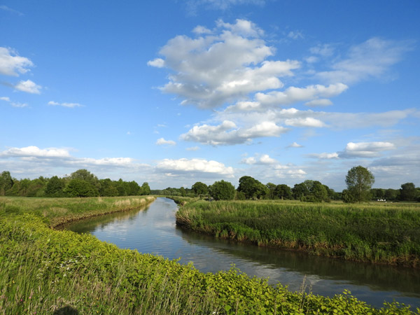Peaceful pastoral landscape along the River Dijle