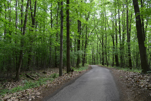 Forest of Vlaams-Brabant, Tielt-Winge