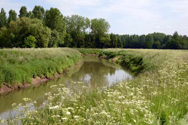 Rejoining the Demer River east Aarschot