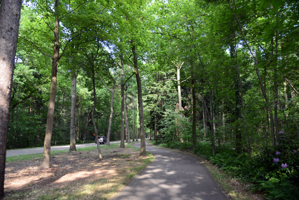Forest around the Bokrijk open air museum