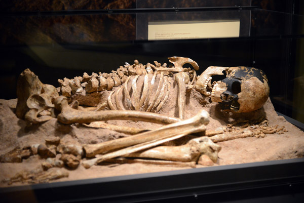 One of the earliest known complete Homo sapiens skeleton
