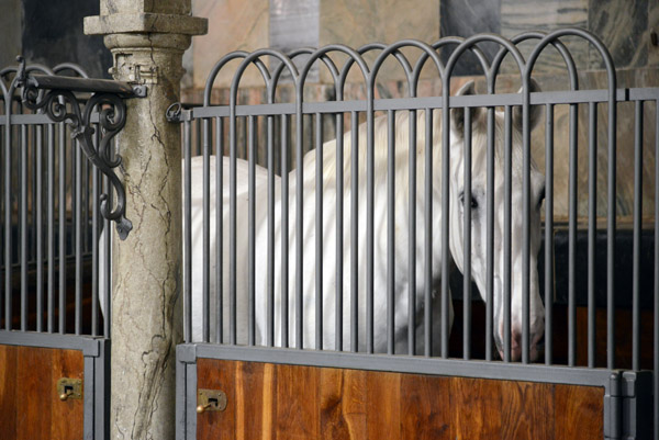 Resident of the Royal Stables, Christiansborg Palace