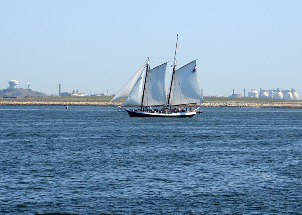 Liberty Clipper, Boston Harbor