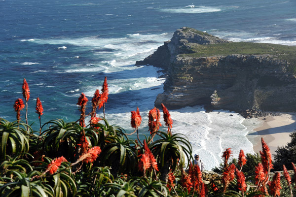 Cape Point