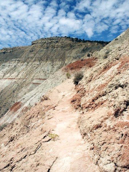 Eagle's View Trail