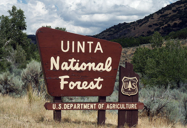 Uinta National Forest, Utah