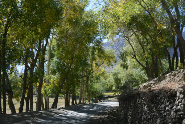 The main road on the Tajikistan side of the Wakhan Valley leading though some shady trees east of Shitharv