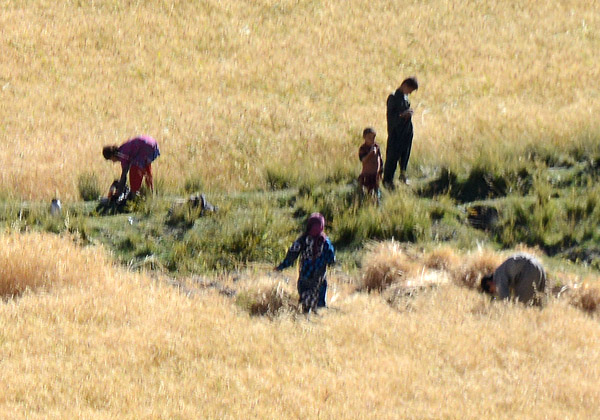 Afghan farmers working the land, Wakhan Valley