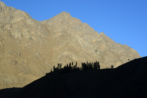 Silhouettes of poplar trees with the late afternoon sun on the surrounding peaks 