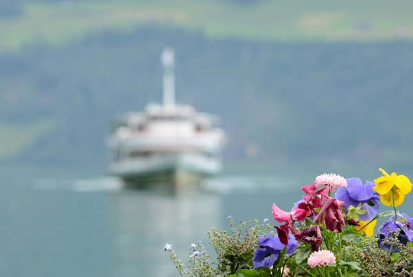 Flowers with a Lake Lucerne Navigation ferry
