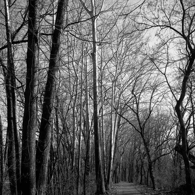 C&O Trail