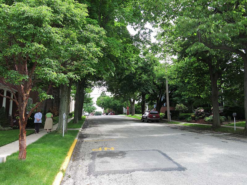 A Town Street