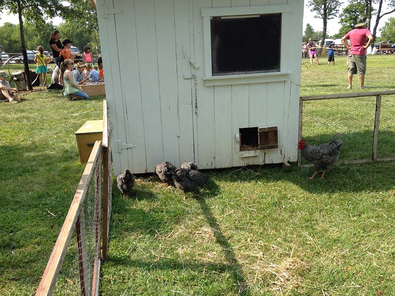 Chicken House