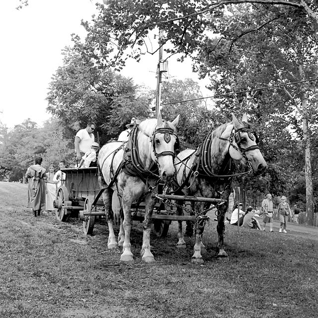 Team and Wagon