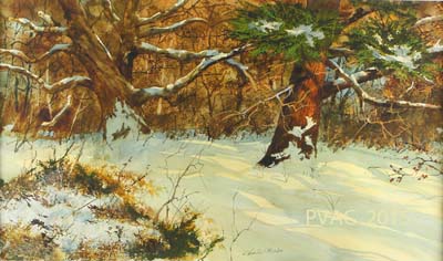 Watercolor - Honorable Mention