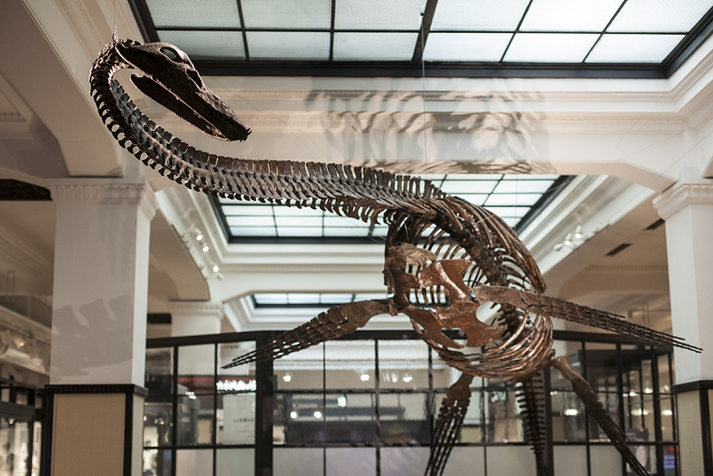 Science Museum (Tokyo)